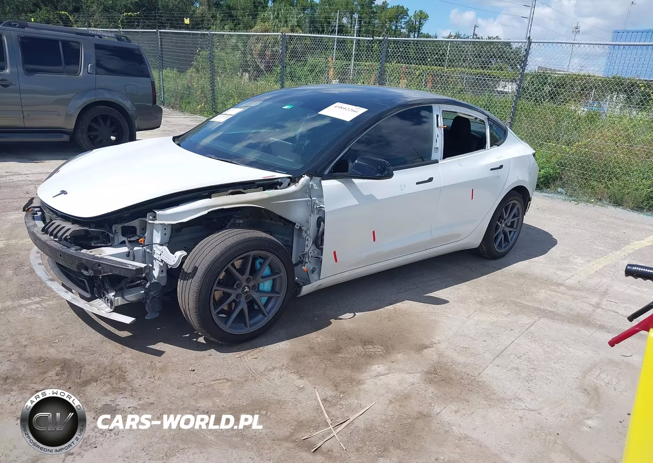 2022 Tesla Model 3 Rear-Wheel Drive VIN:5YJ3E1EA0NF102414 - 2
