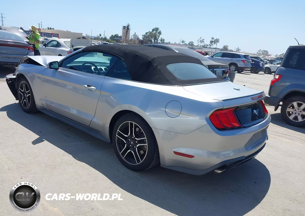 2020 Ford Mustang Ecoboost Premium VIN:1FATP8UH2L5119107 - 3