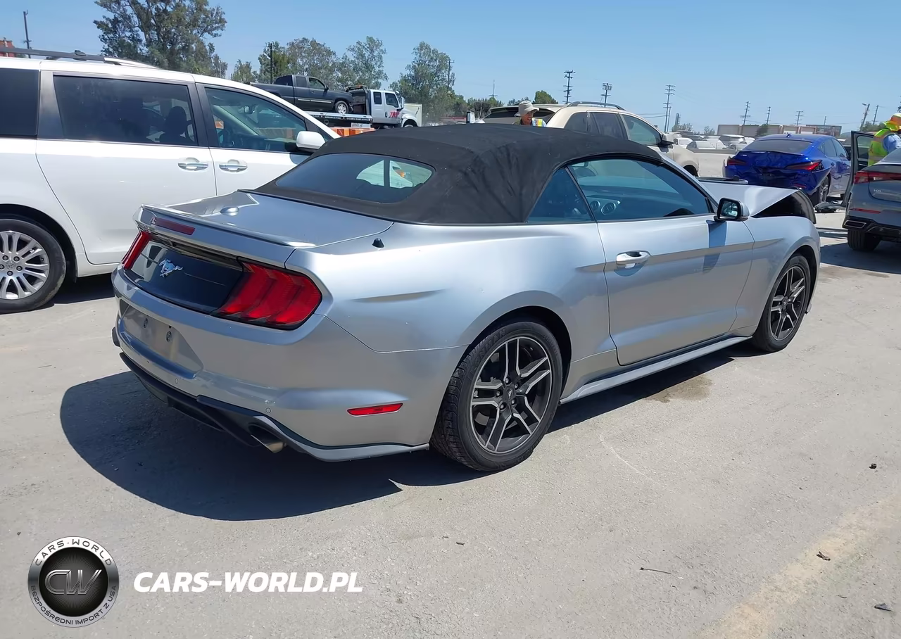 2020 Ford Mustang Ecoboost Premium VIN:1FATP8UH2L5119107 - 4