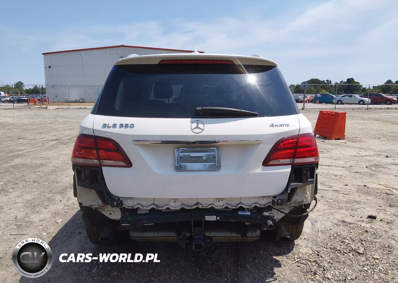2017 Mercedes-Benz Gle 350 4Matic VIN:4JGDA5HB6HA885954 - 17