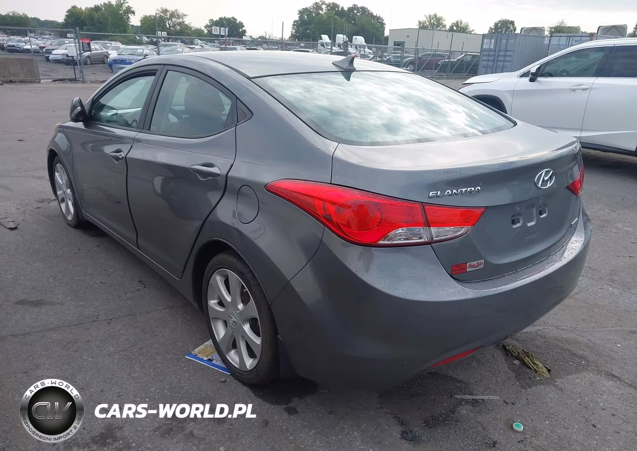 2013 Hyundai Elantra Limited VIN:5NPDH4AEXDH282653 - 3