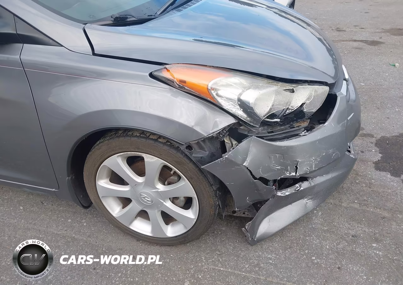 2013 Hyundai Elantra Limited VIN:5NPDH4AEXDH282653 - 6