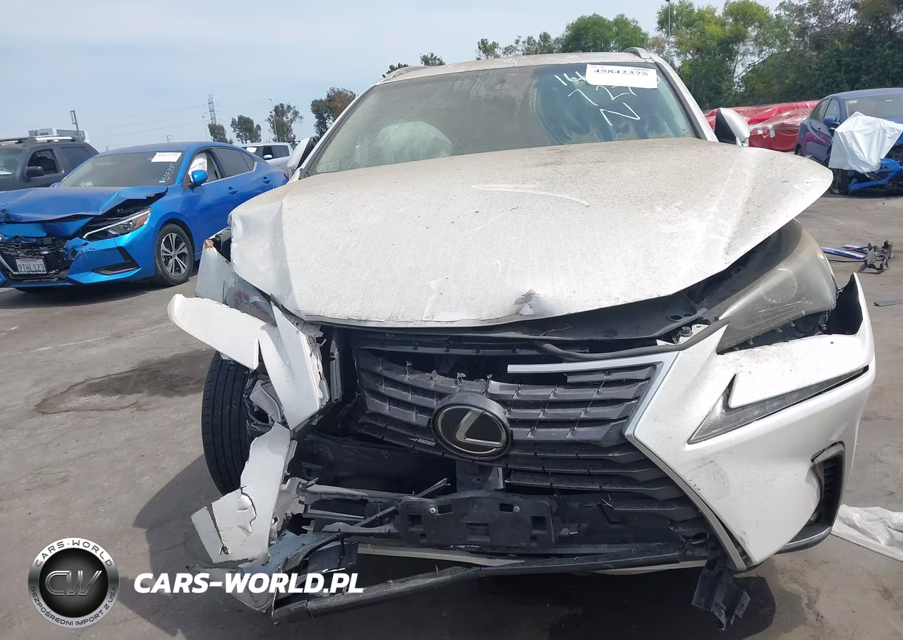 2019 Lexus Nx 300 VIN:JTJYARBZ4K2148625 - 11
