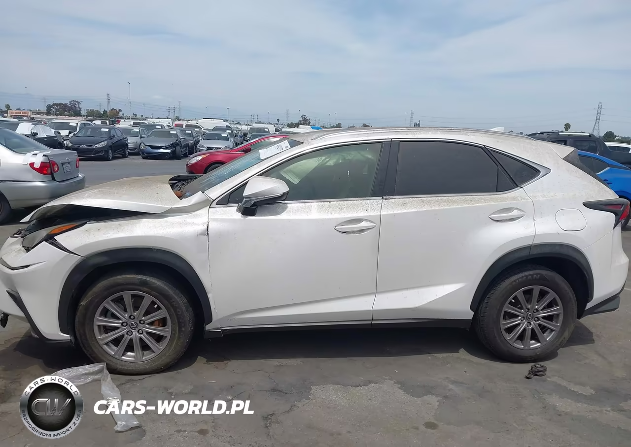 2019 Lexus Nx 300 VIN:JTJYARBZ4K2148625 - 13