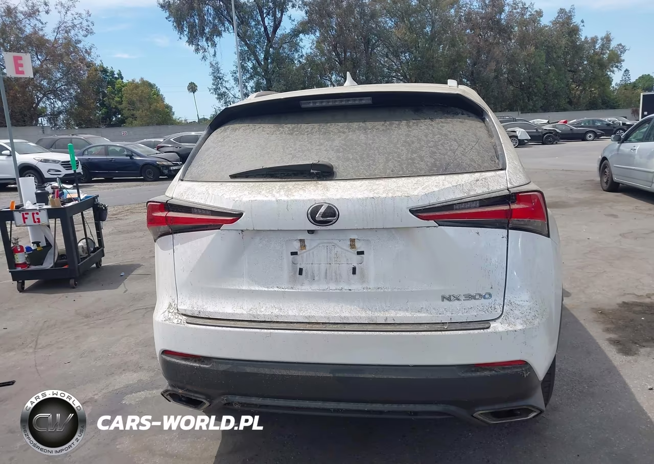 2019 Lexus Nx 300 VIN:JTJYARBZ4K2148625 - 15