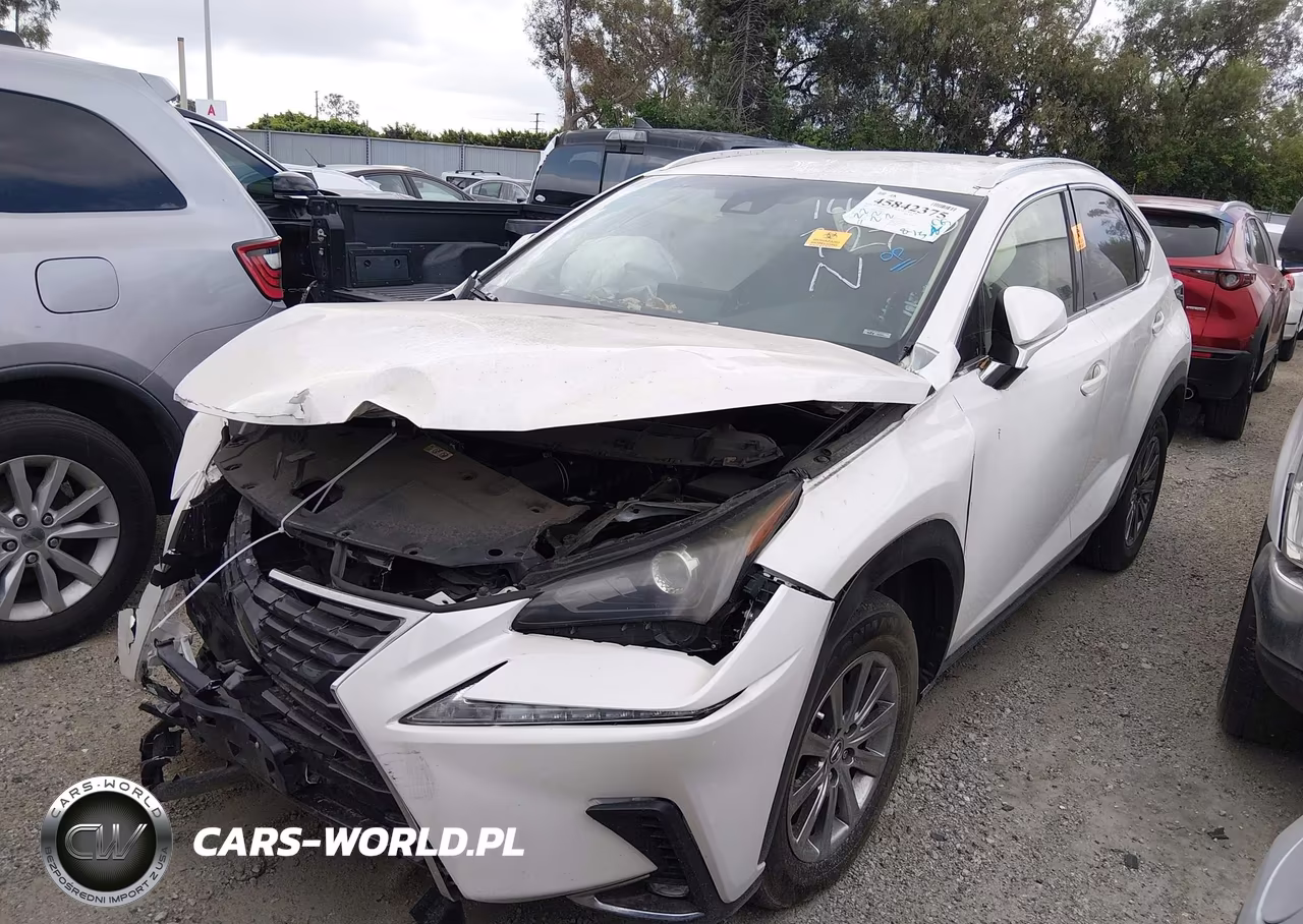 2019 Lexus Nx 300 VIN:JTJYARBZ4K2148625 - 2