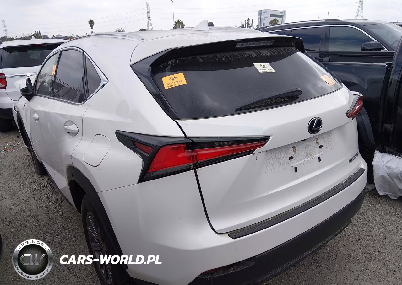 2019 Lexus Nx 300 VIN:JTJYARBZ4K2148625 - 3