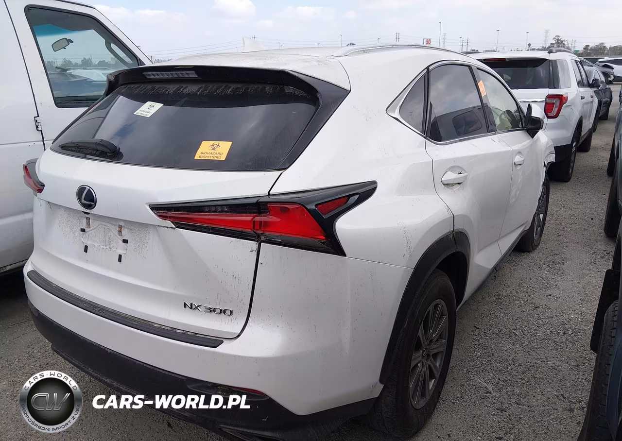 2019 Lexus Nx 300 VIN:JTJYARBZ4K2148625 - 4