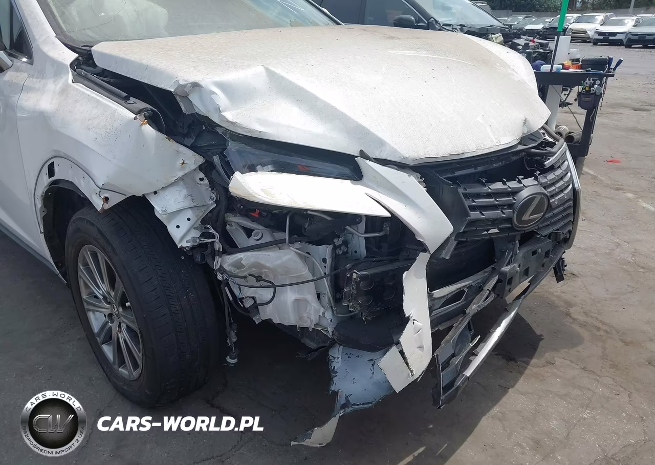 2019 Lexus Nx 300 VIN:JTJYARBZ4K2148625 - 6