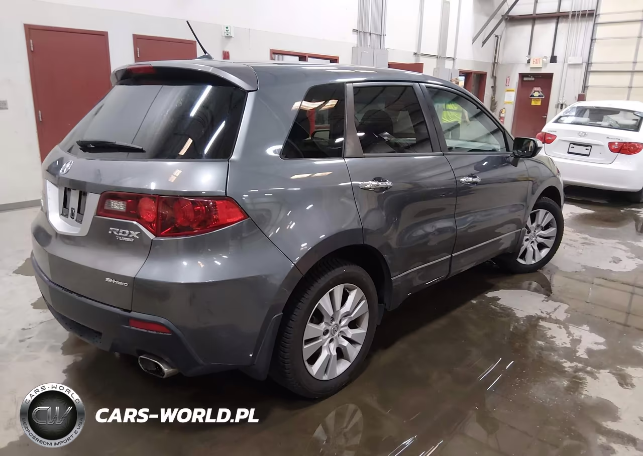 2010 Acura Rdx VIN:5J8TB1H28AA008685 - 4