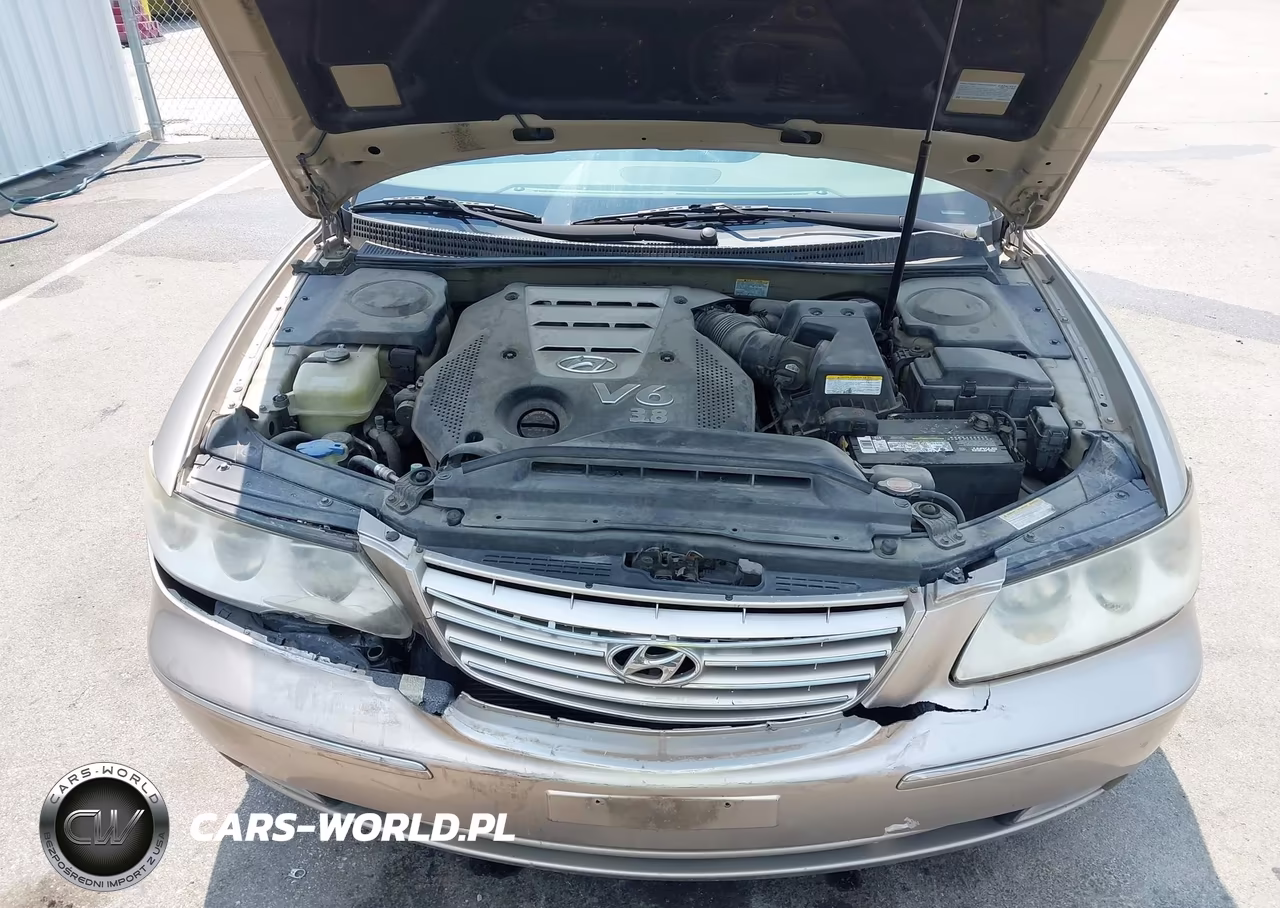 2007 Hyundai Azera Limited-Se VIN:KMHFC46F67A179570 - 10