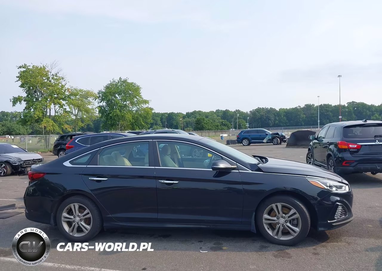 2019 Hyundai Sonata Sel VIN:5NPE34AF4KH733939 - 12