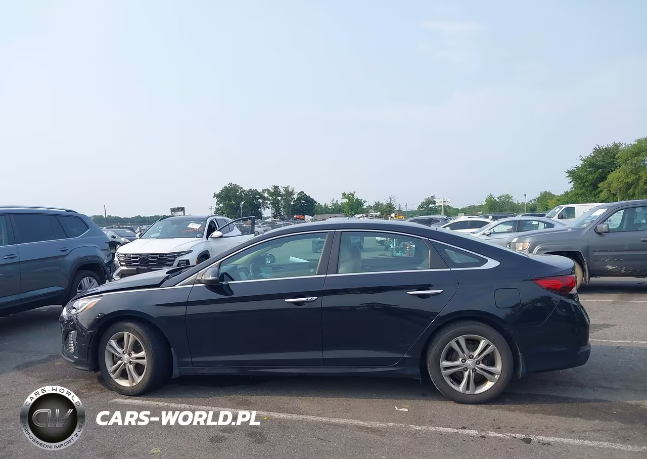 2019 Hyundai Sonata Sel VIN:5NPE34AF4KH733939 - 13