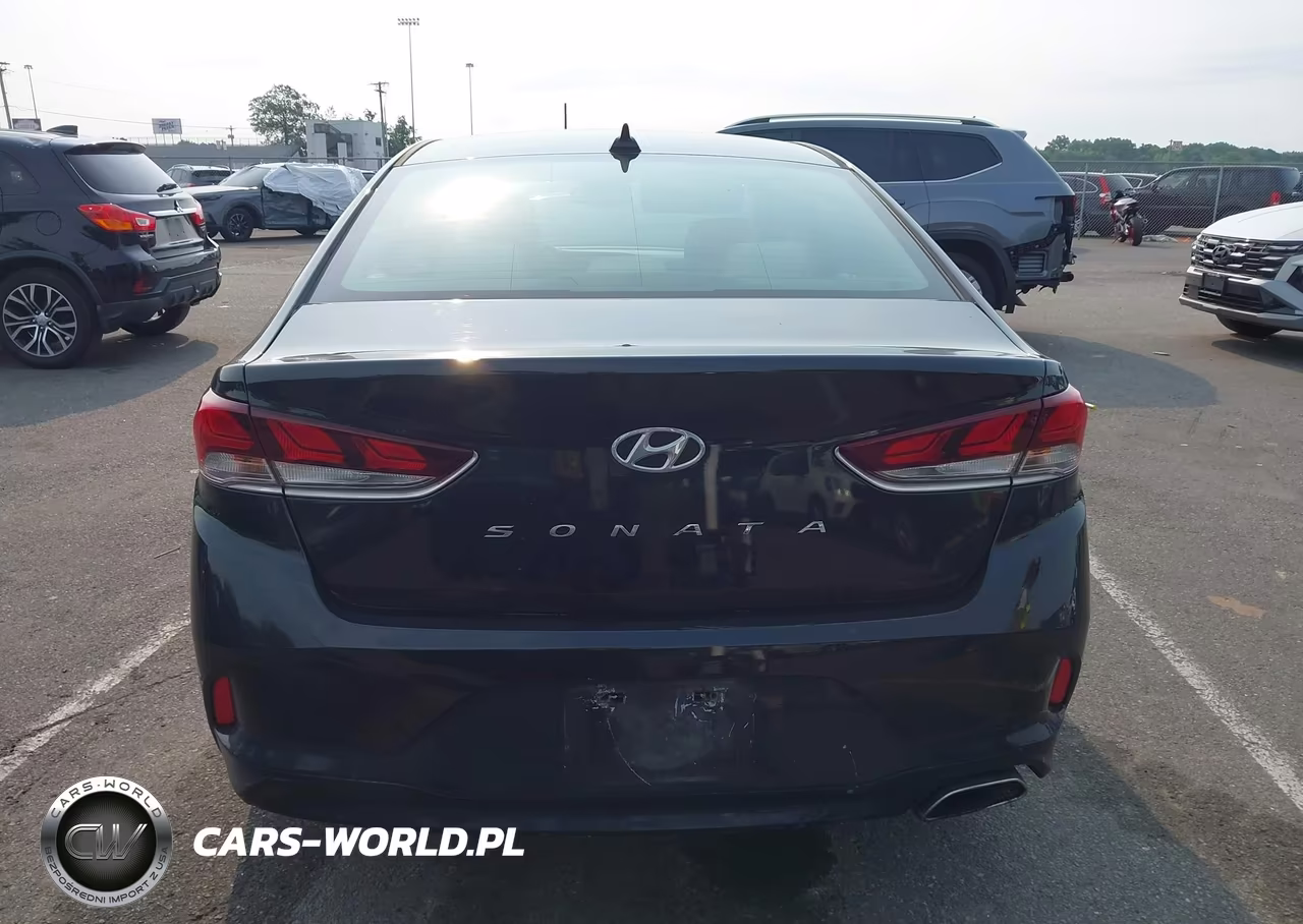 2019 Hyundai Sonata Sel VIN:5NPE34AF4KH733939 - 15