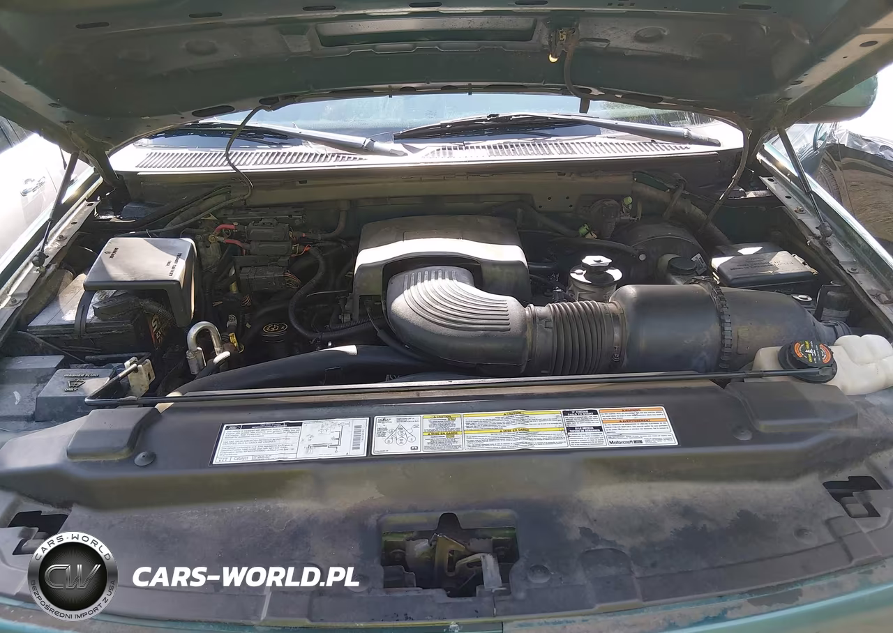 1998 Ford Expedition Eddie Bauer-Xlt VIN:1FMPU18L9WLA85544 - 10