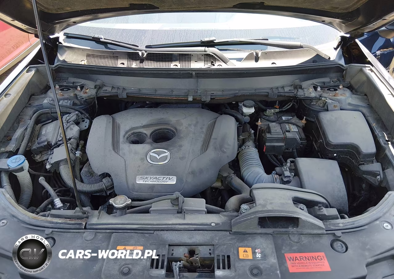 2019 Mazda Cx-9 Touring VIN:JM3TCBCY3K0313927 - 10