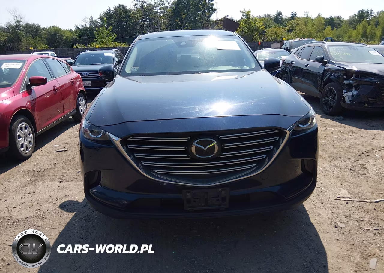 2019 Mazda Cx-9 Touring VIN:JM3TCBCY3K0313927 - 12