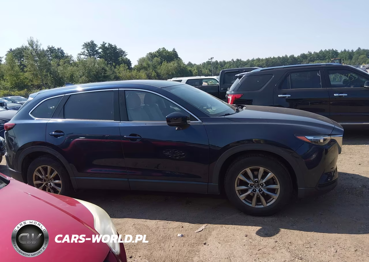 2019 Mazda Cx-9 Touring VIN:JM3TCBCY3K0313927 - 13