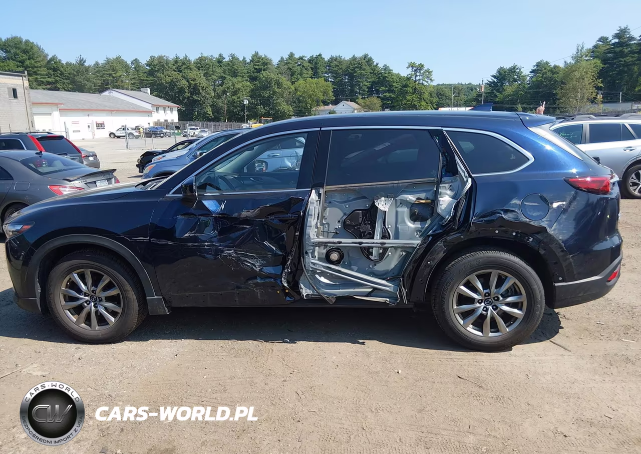 2019 Mazda Cx-9 Touring VIN:JM3TCBCY3K0313927 - 14