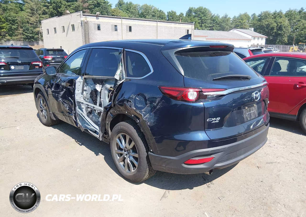 2019 Mazda Cx-9 Touring VIN:JM3TCBCY3K0313927 - 3