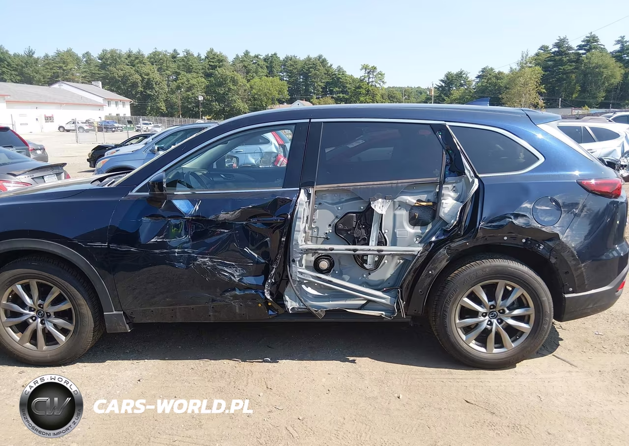 2019 Mazda Cx-9 Touring VIN:JM3TCBCY3K0313927 - 6