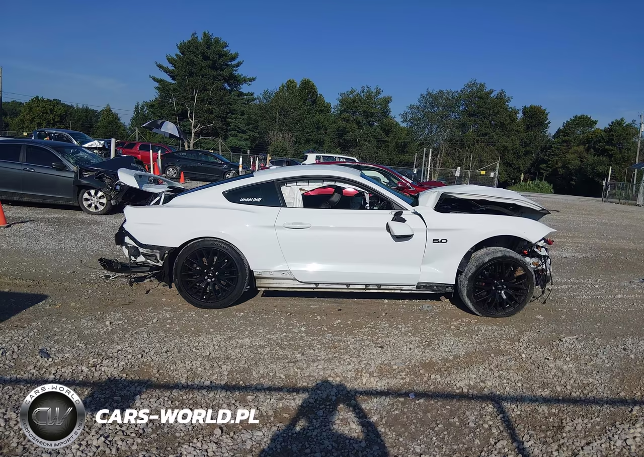 2018 Ford Mustang Gt VIN:1FA6P8CF9J5106753 - 12