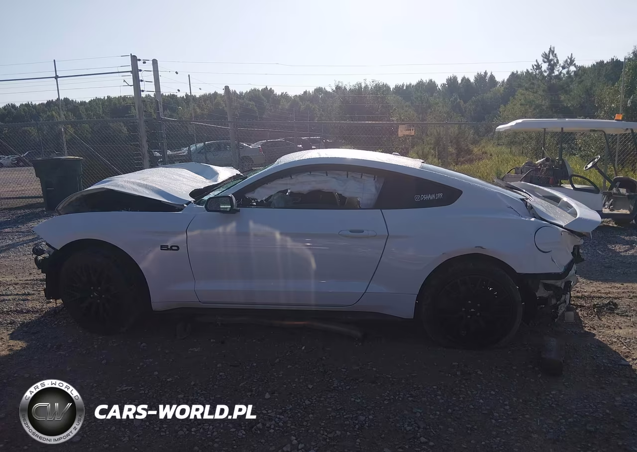 2018 Ford Mustang Gt VIN:1FA6P8CF9J5106753 - 13