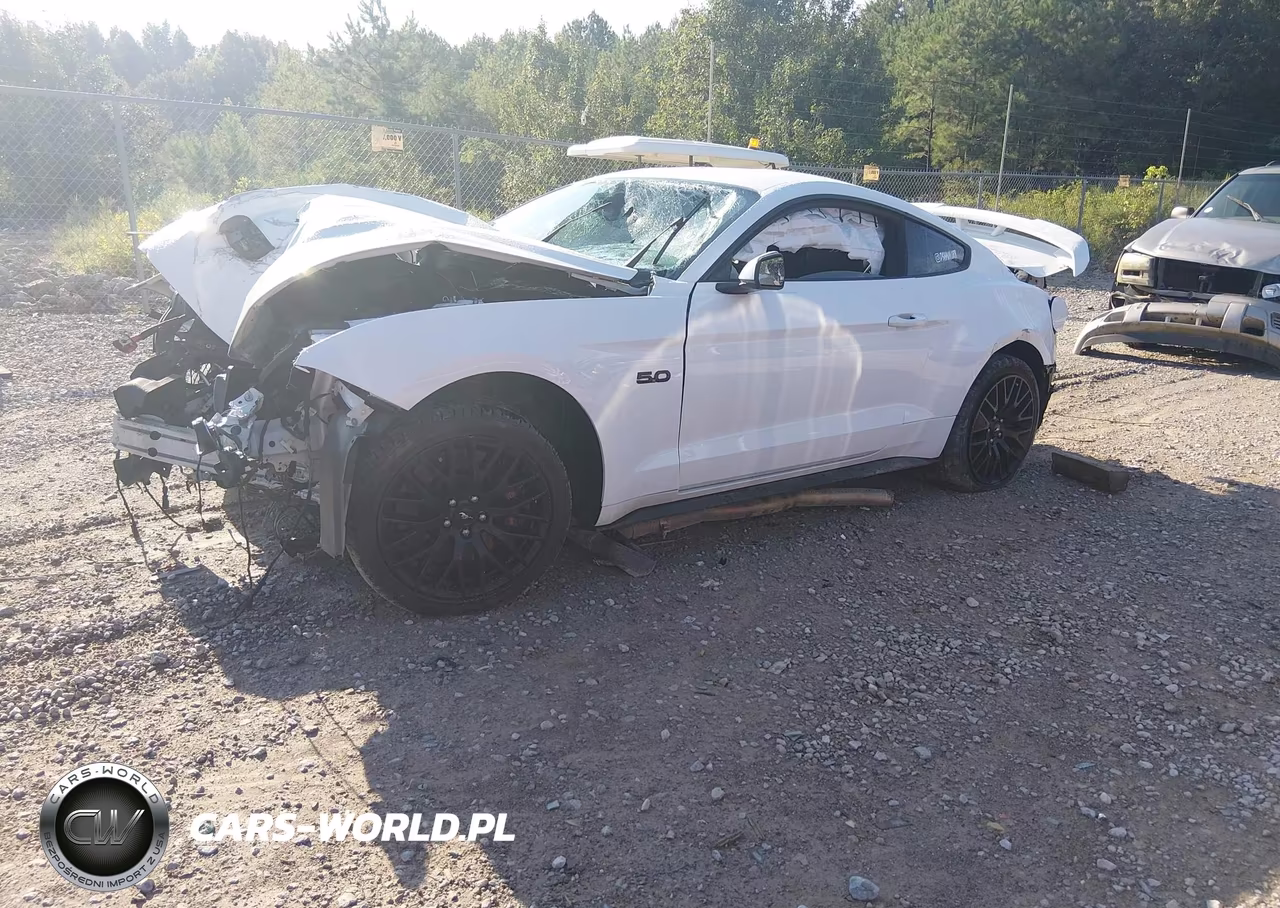 2018 Ford Mustang Gt VIN:1FA6P8CF9J5106753 - 2