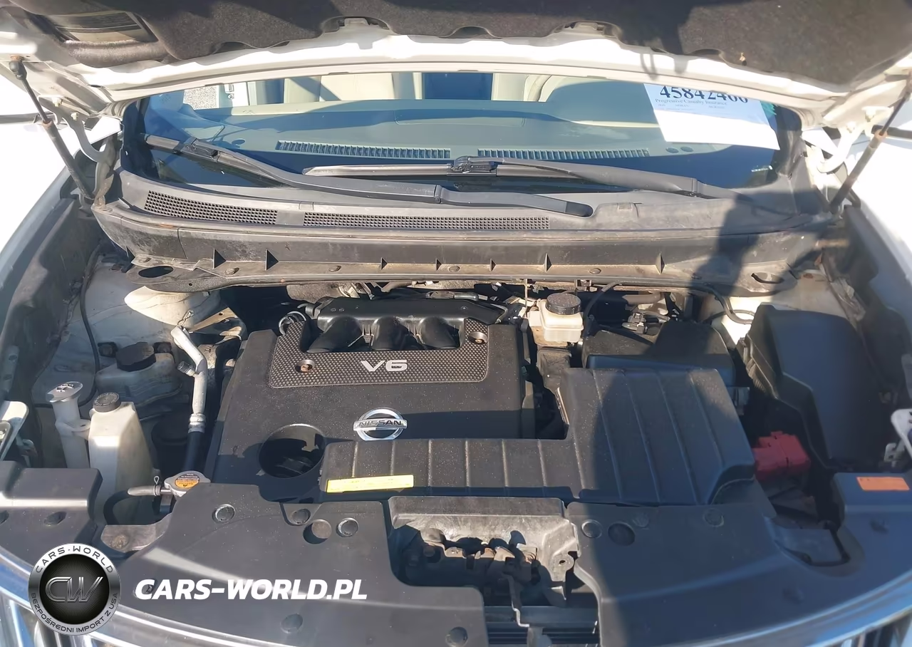 2010 Nissan Murano Le VIN:JN8AZ1MW1AW110170 - 10