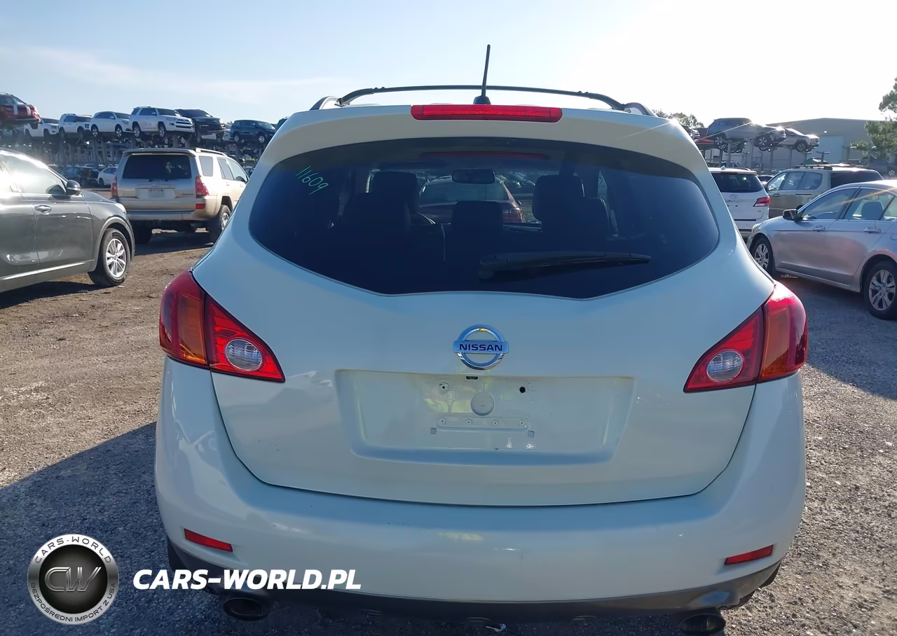 2010 Nissan Murano Le VIN:JN8AZ1MW1AW110170 - 16