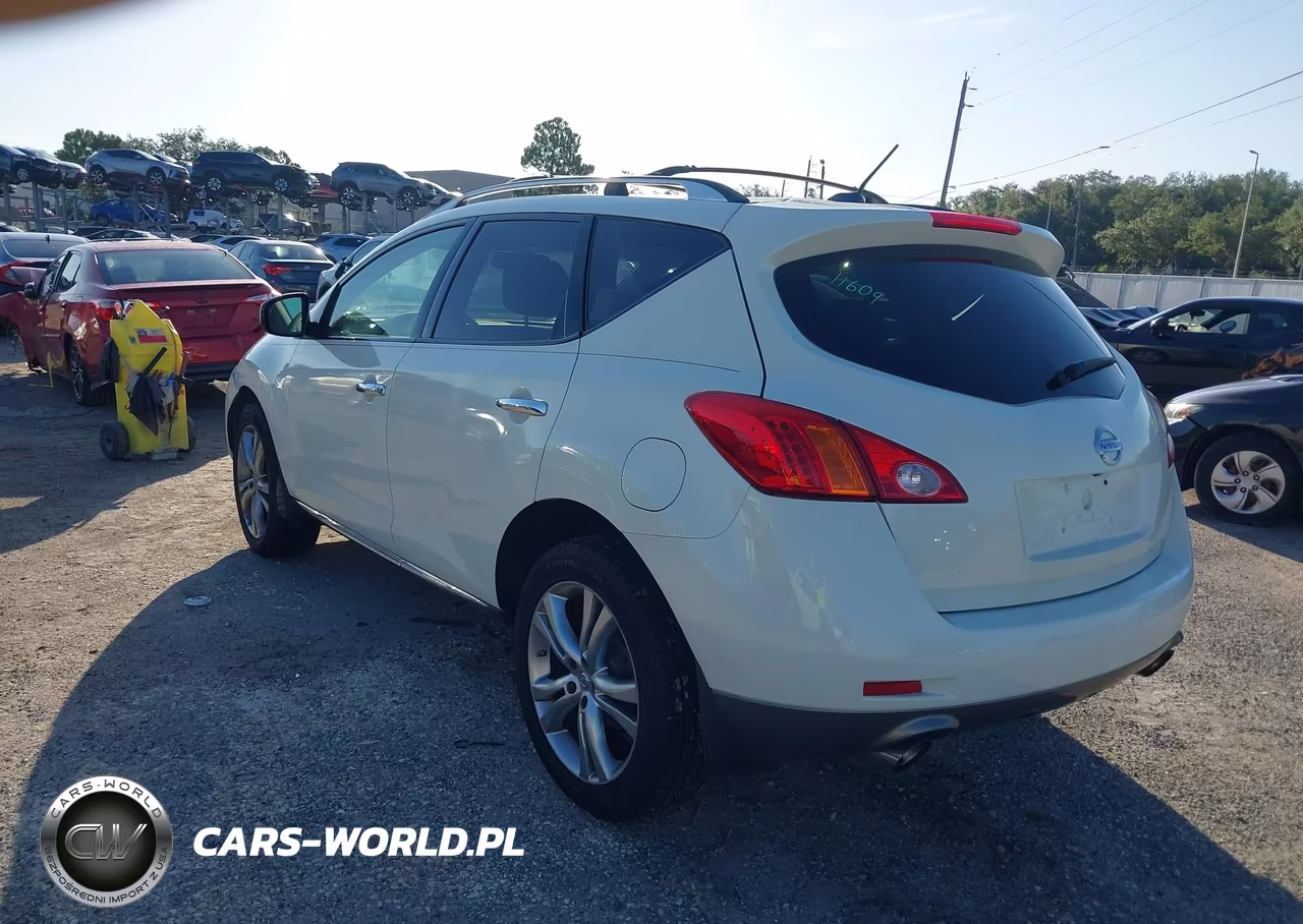 2010 Nissan Murano Le VIN:JN8AZ1MW1AW110170 - 3
