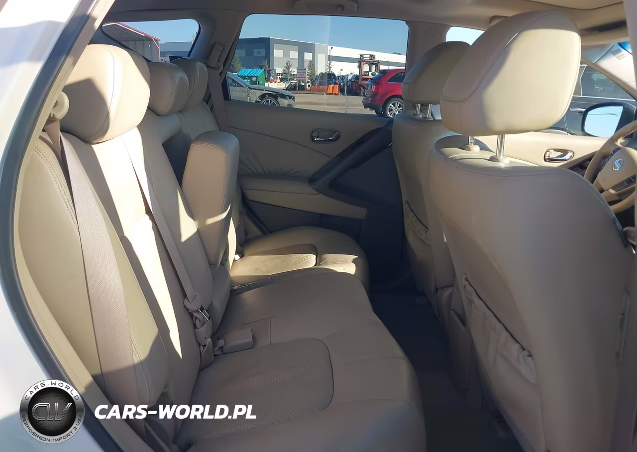 2010 Nissan Murano Le VIN:JN8AZ1MW1AW110170 - 8
