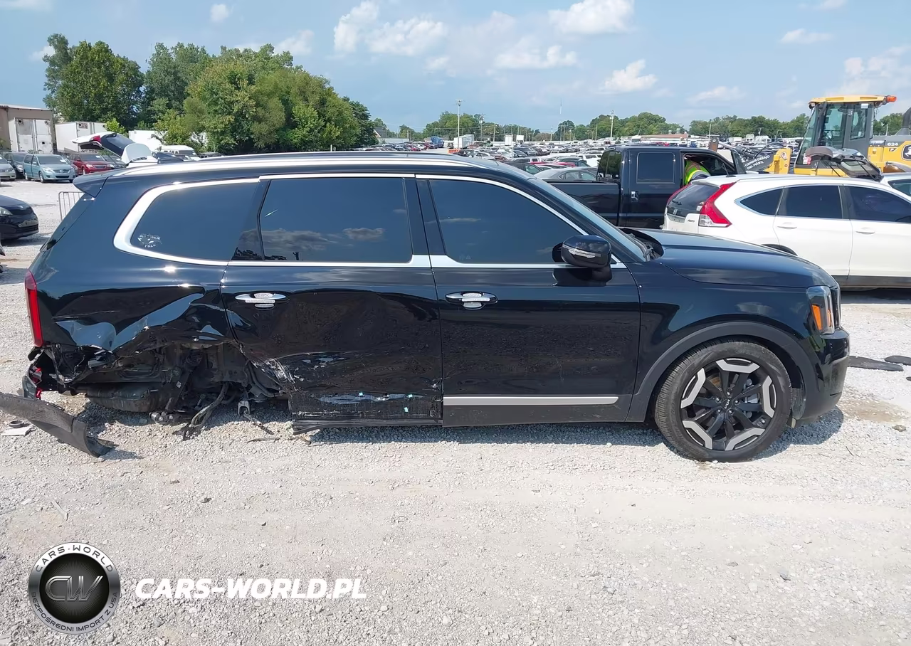2025 Kia Telluride S VIN:5XYP6DGC0SG612670 - 13
