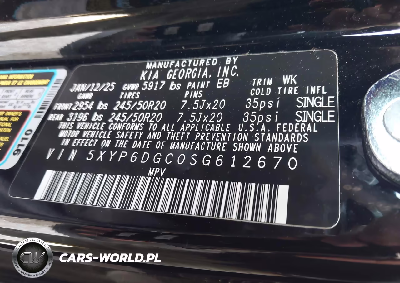 2025 Kia Telluride S VIN:5XYP6DGC0SG612670 - 9