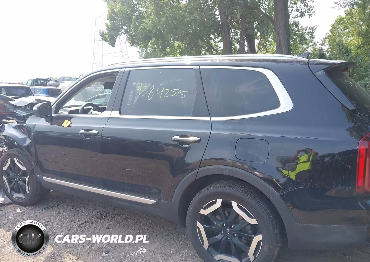 2024 Kia Telluride S VIN:5XYP6DGCXRG424135 - 14