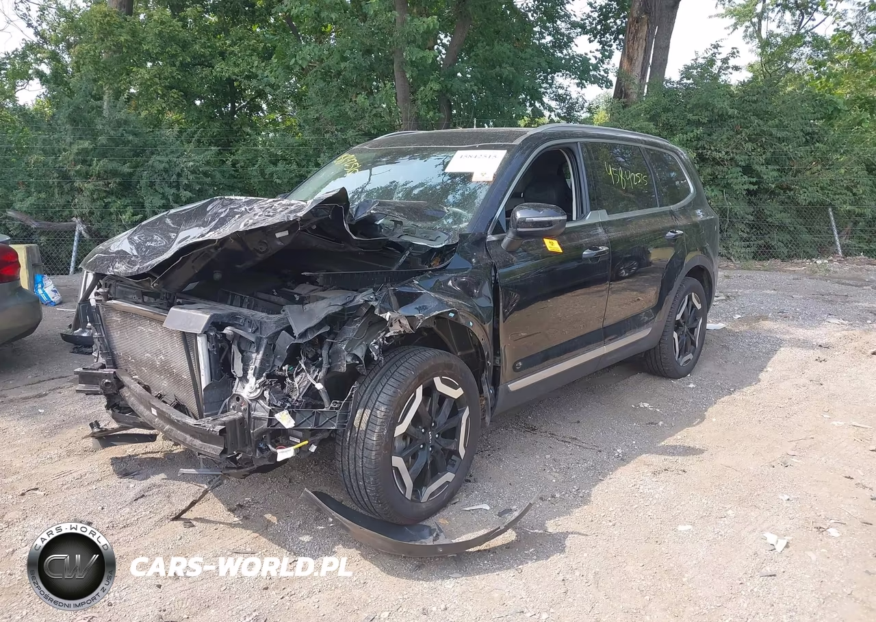 2024 Kia Telluride S VIN:5XYP6DGCXRG424135 - 2