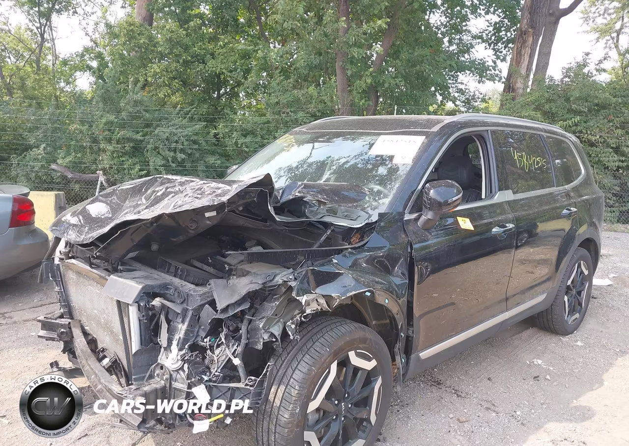 2024 Kia Telluride S VIN:5XYP6DGCXRG424135 - 6