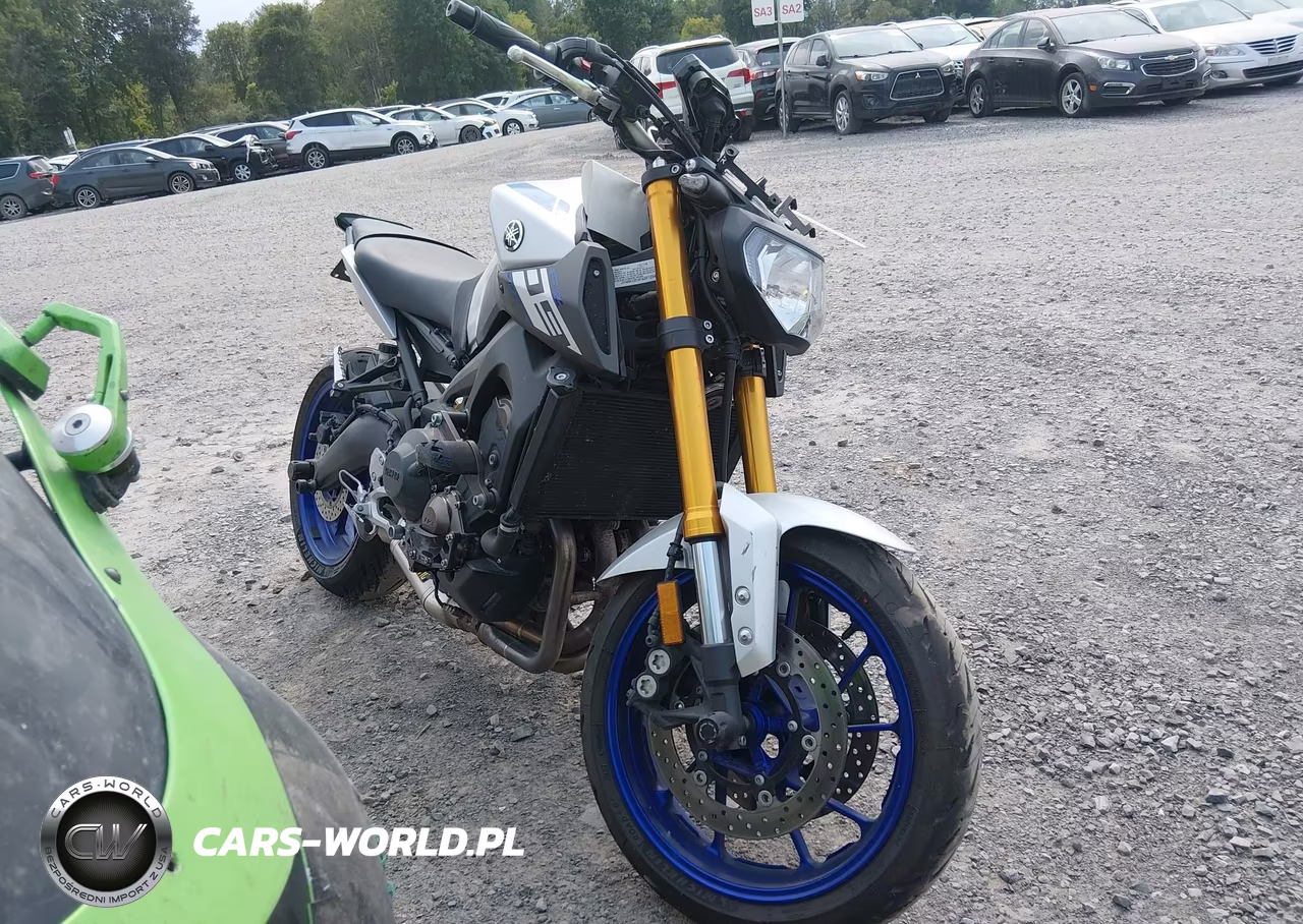 2015 Yamaha Fz09