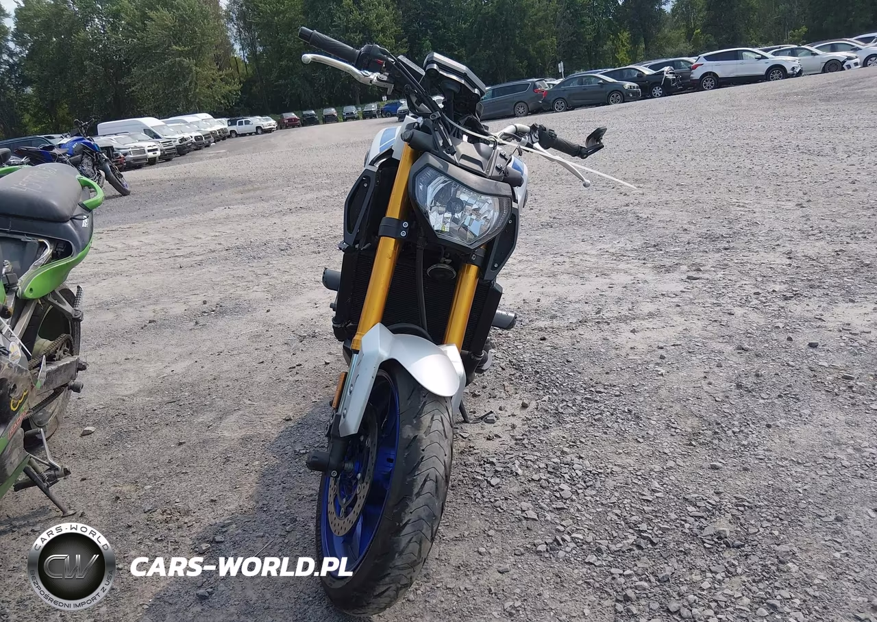2015 Yamaha Fz09 VIN:JYARN33EXFA007294 - 5