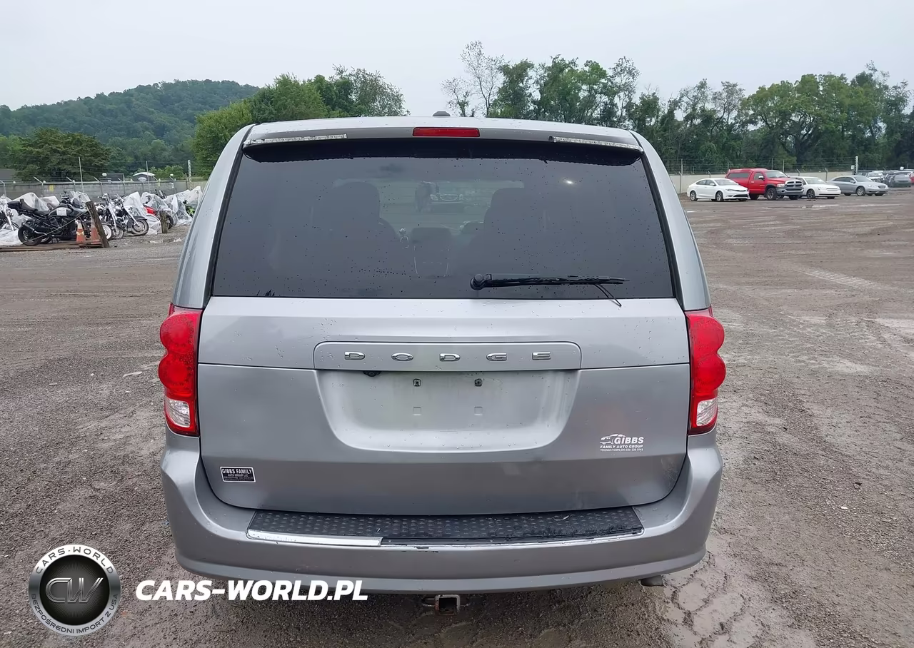 2014 Dodge Grand Caravan Se 30Th Anniversary VIN:2C4RDGBG7ER311940 - 17