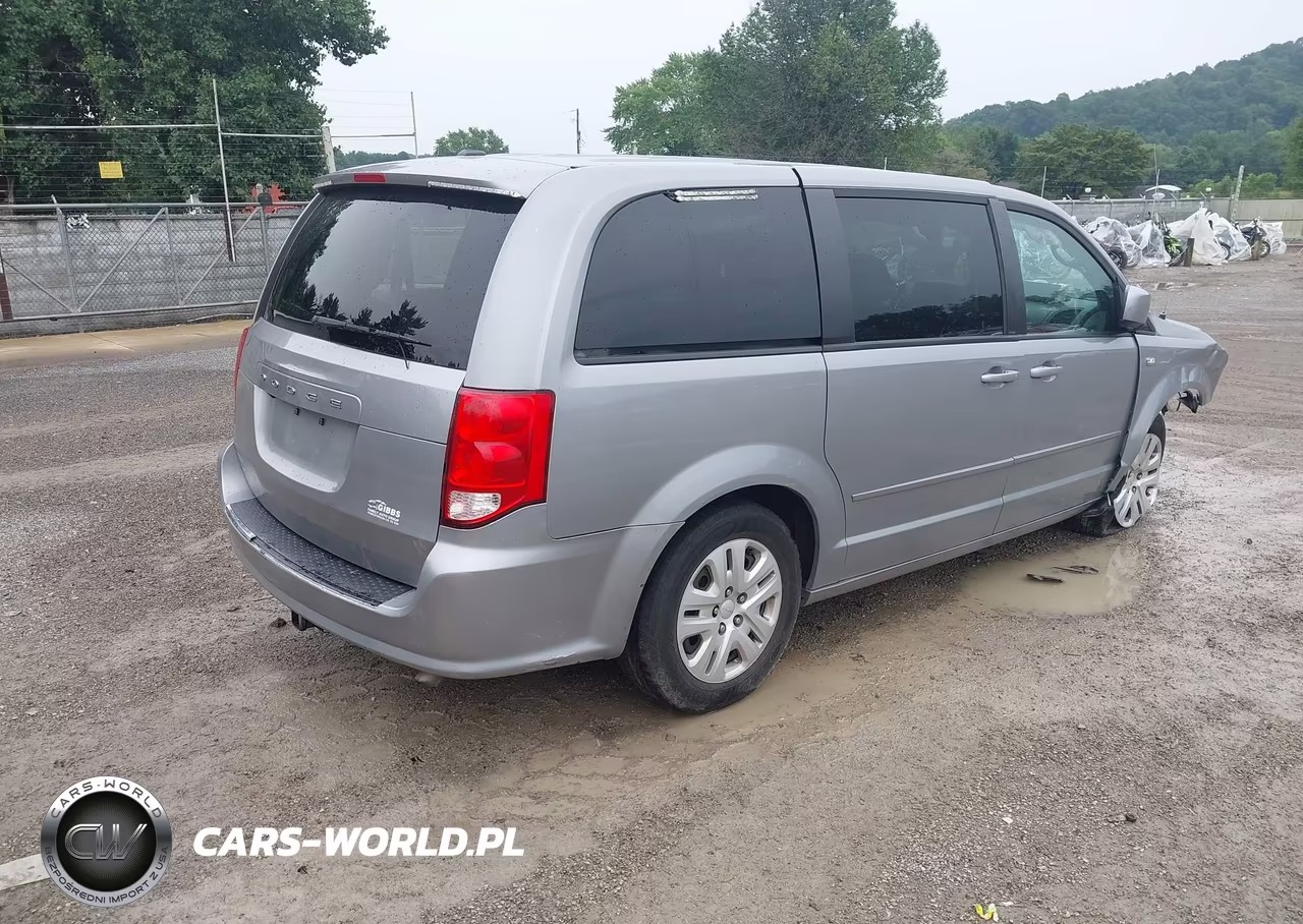 2014 Dodge Grand Caravan Se 30Th Anniversary VIN:2C4RDGBG7ER311940 - 4