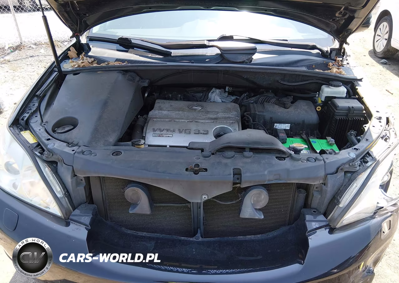 2006 Lexus Rx 330 VIN:2T2HA31U76C091524 - 10