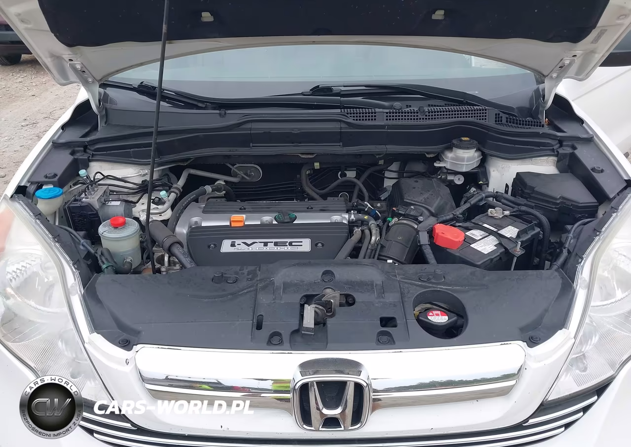 2009 Honda Cr-V Ex VIN:3CZRE485X9G706654 - 10