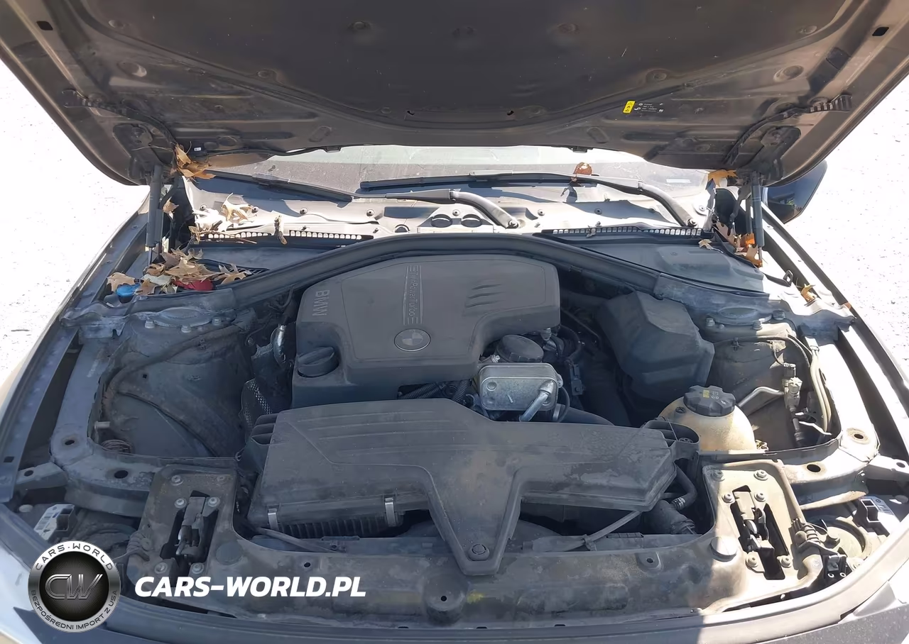 2017 BMW 320I VIN:WBA8E1G57HNU13833 - 10