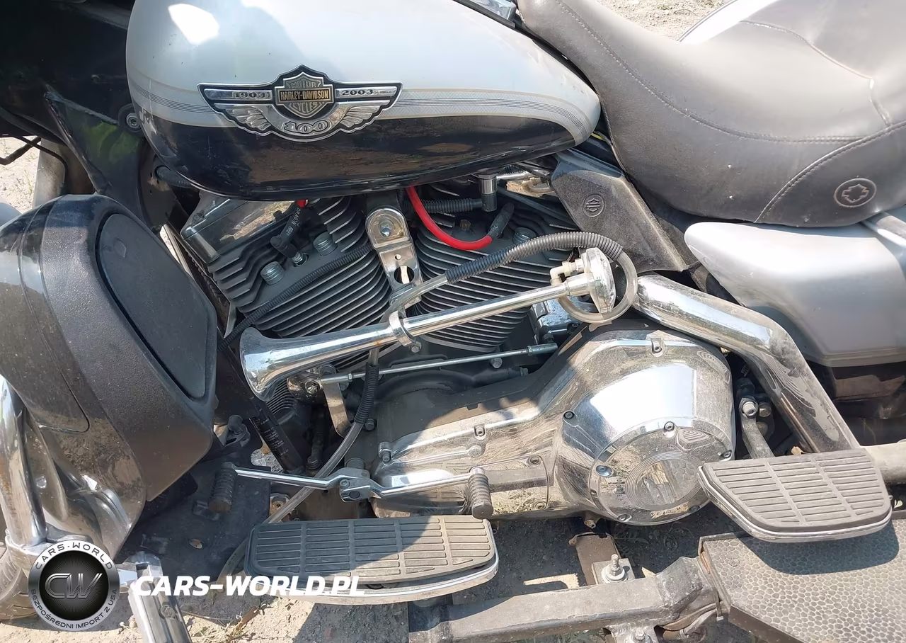 2003 Harley-Davidson Flhtcui Anniversary VIN:1HD1FCW433Y633935 - 9