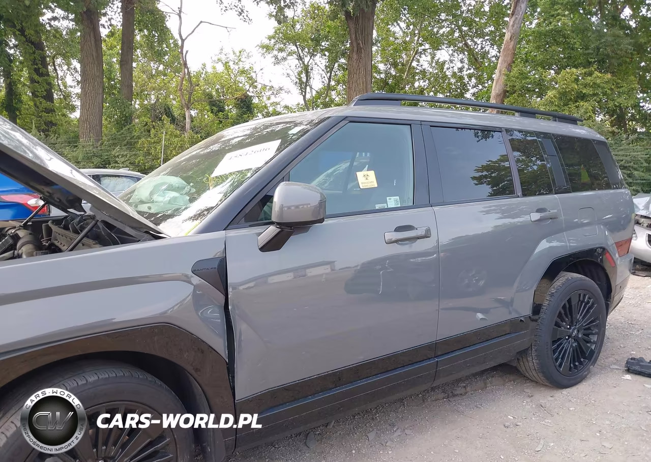 2025 Hyundai Santa Fe Hybrid Calligraphy VIN:5NMP5DG10SH020838 - 15