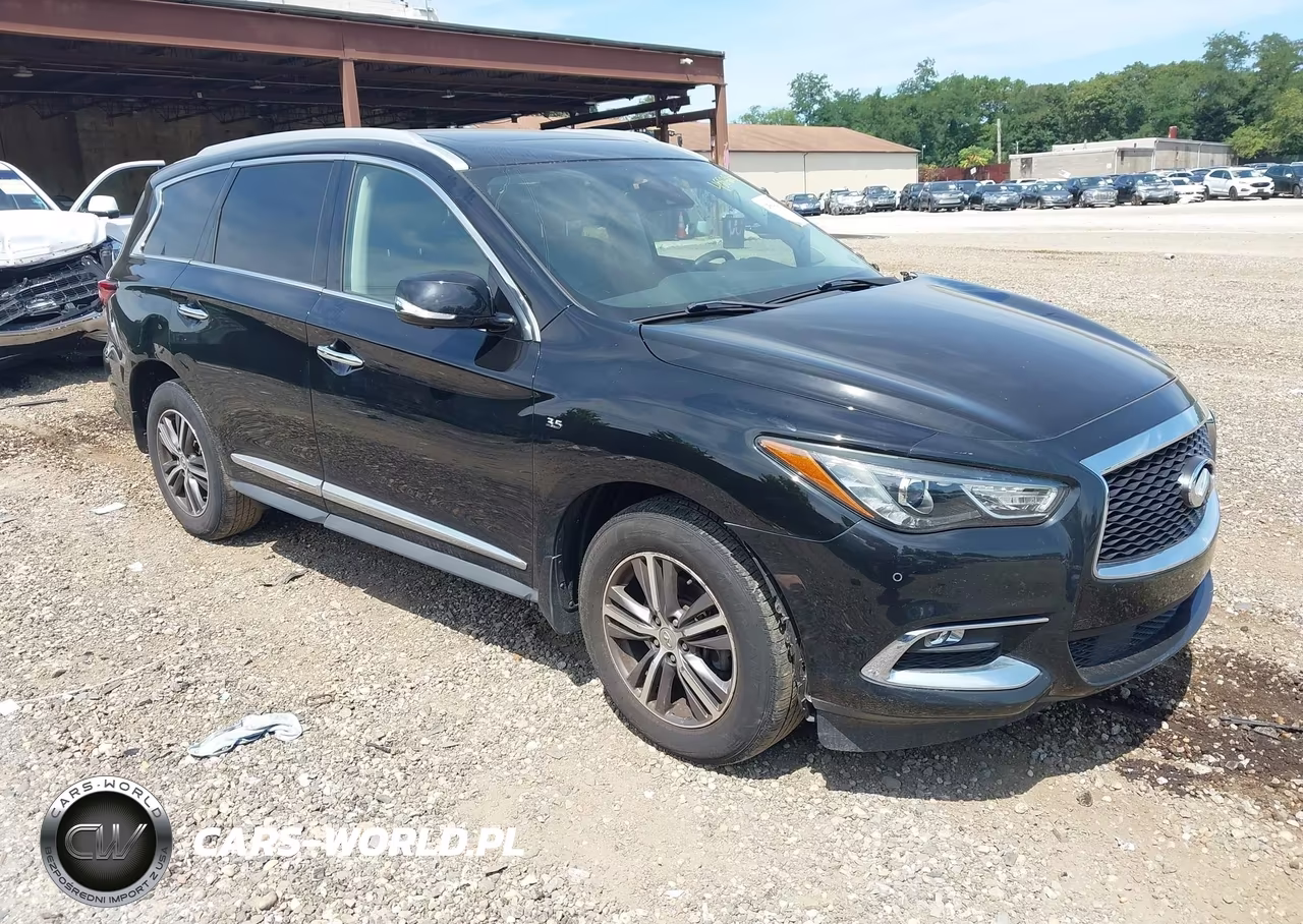 2019 Infiniti Qx60 Luxe VIN:5N1DL0MM1KC510134 - 1