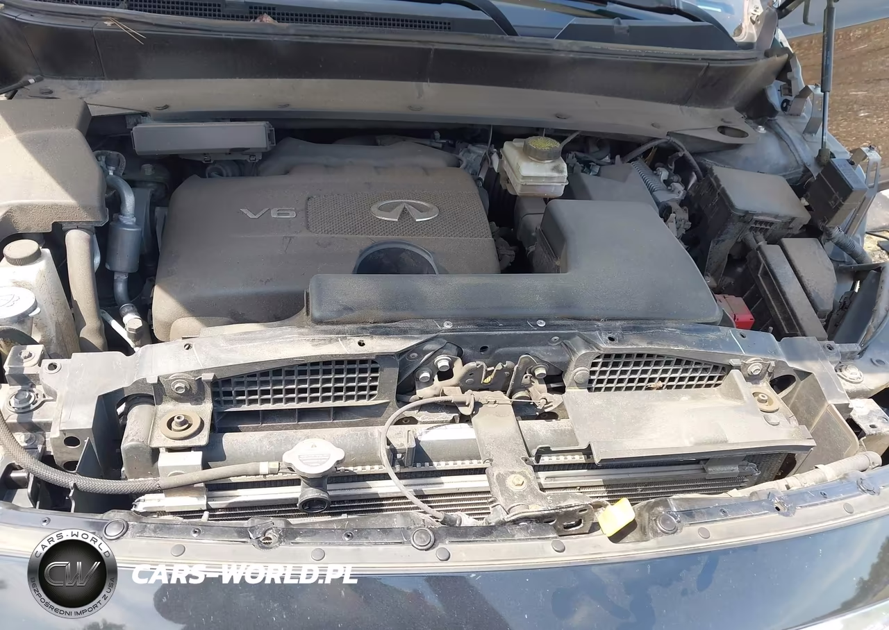 2019 Infiniti Qx60 Luxe VIN:5N1DL0MM1KC510134 - 10
