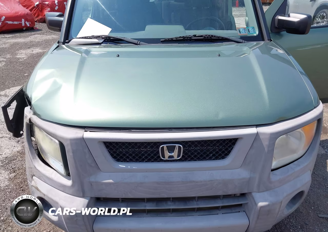 2004 Honda Element Ex VIN:5J6YH28534L037730 - 10