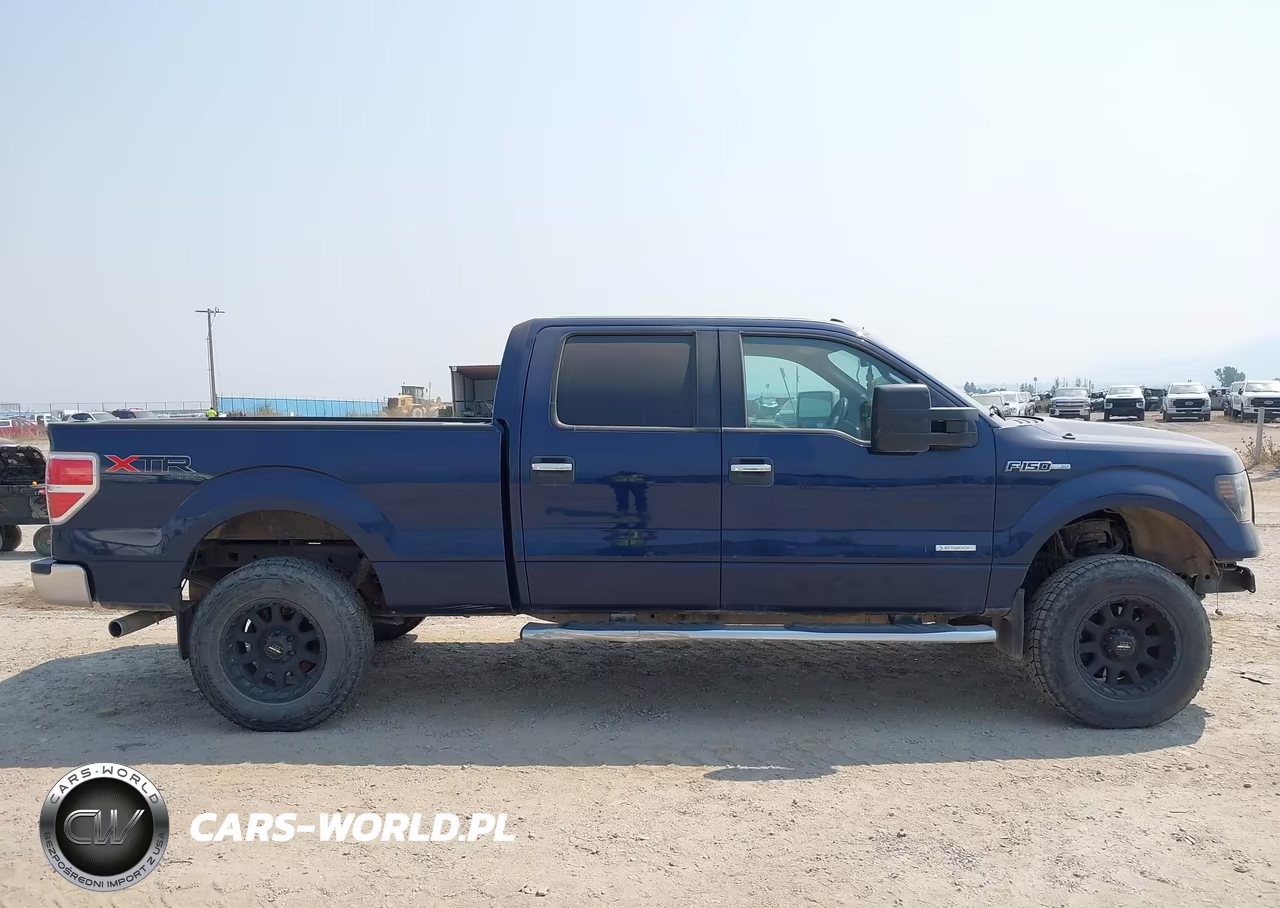 2012 Ford F-150 Xlt VIN:1FTFW1ET1CFC26258 - 12